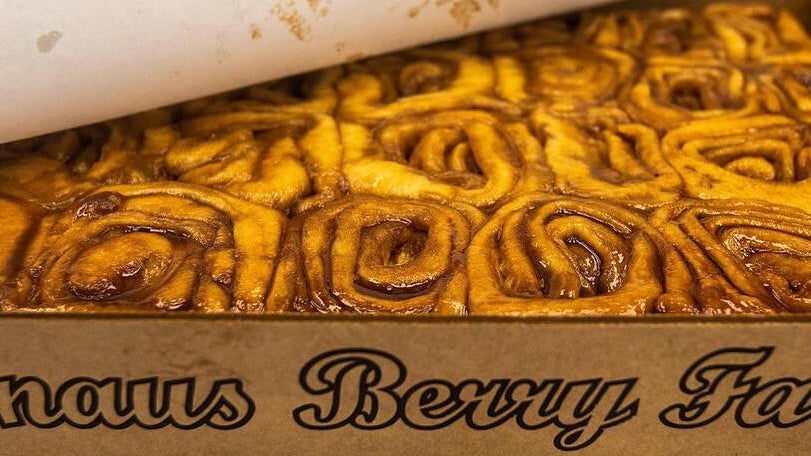 Knaus Berry Farm opens for its 70th season with changes to how customers can get its famous cinnamon rolls — CBS Miami, Palm Harbor Business news