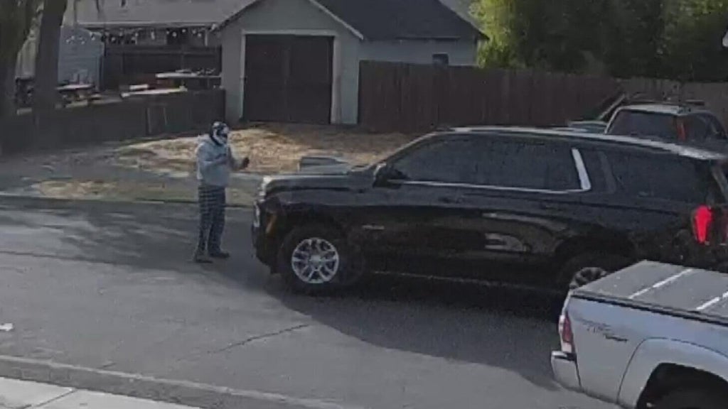 ICE responds after Woodland police dispute initial account of collision with pedestrian — CBS Bay Area (KPIX), Palm Harbor Health news