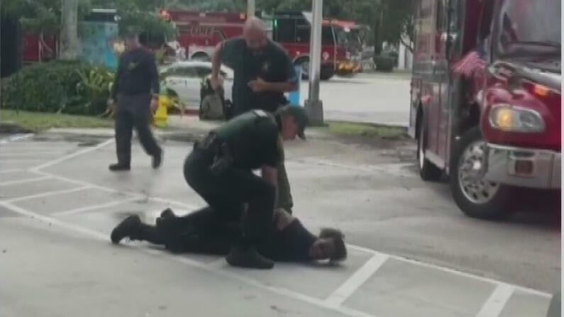 Woman accused of carjacking after stolen vehicle crash in Broward — CBS Miami, Palm Harbor Community news