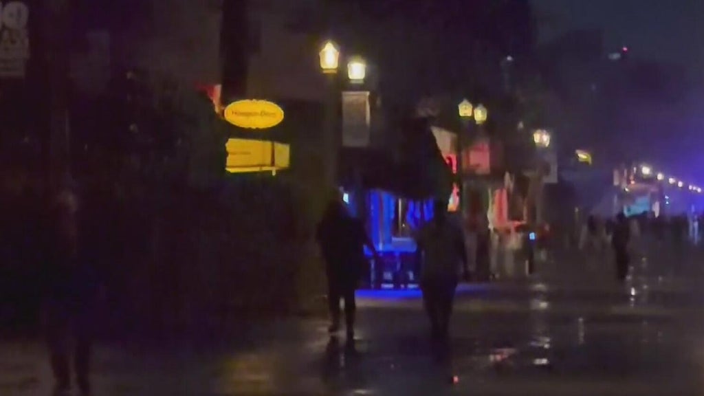 King tides, heavy wind, and coastal flooding impacts South Florida on a soggy Sunday — CBS Miami, Palm Harbor Community news