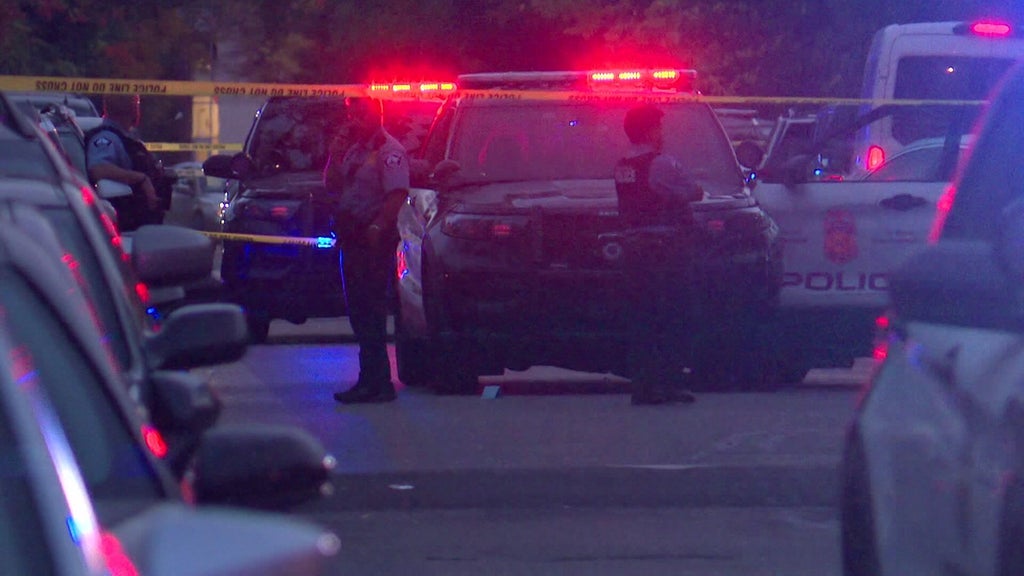 Minneapolis officer fires gun when armed teen carjacker hits squad in stolen car, police say — WCCO / CBS Minnesota, Palm Harbor Health news