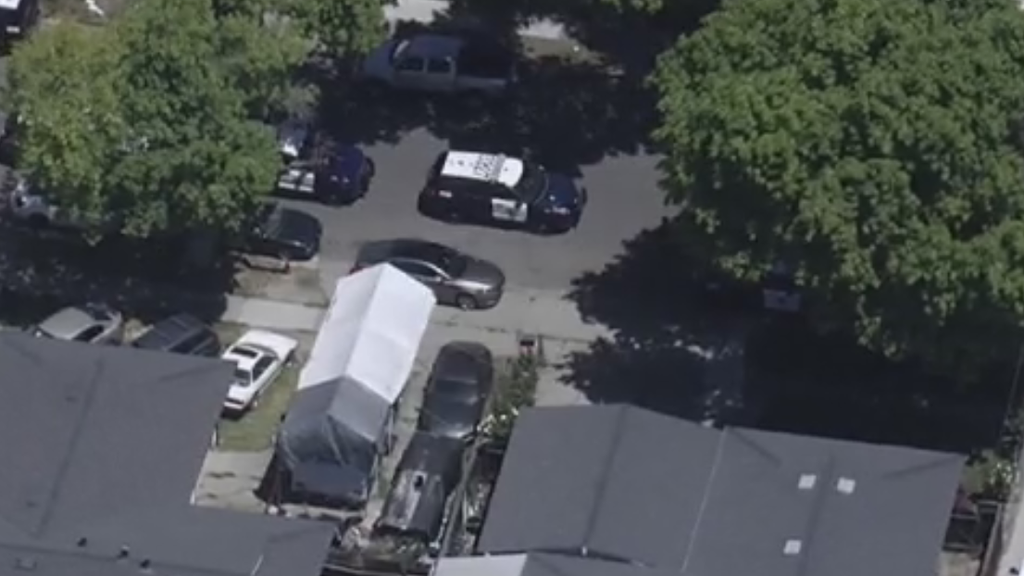 San Jose couple charged in 8-year-old girl's asthma-related death — CBS Bay Area (KPIX), Palm Harbor Health news