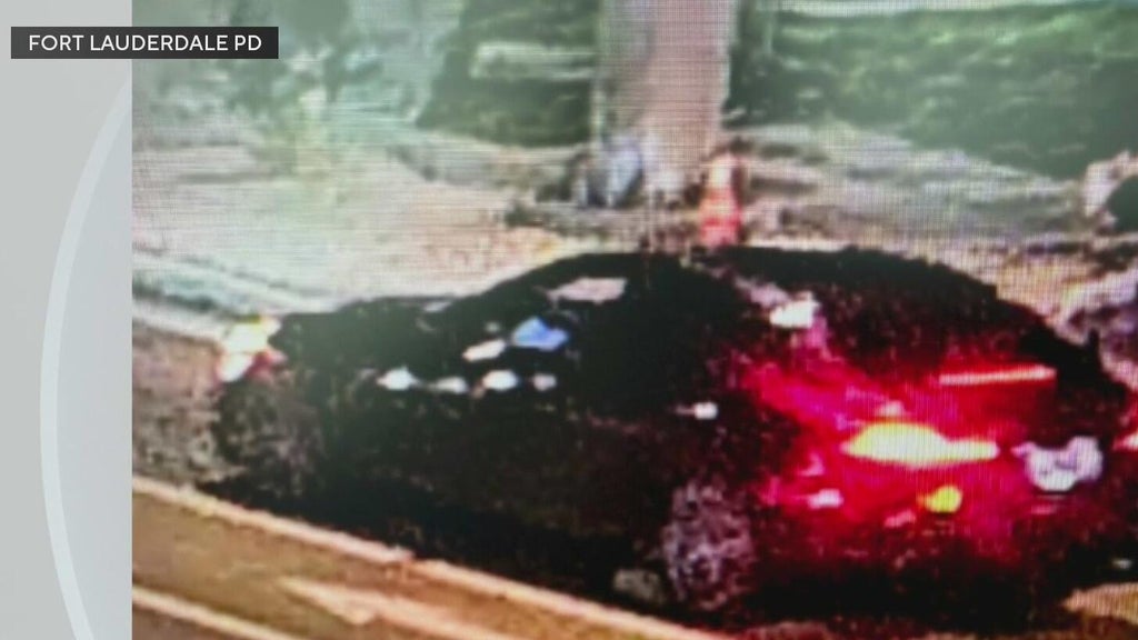 Police seek Mercedes in deadly Fort Lauderdale hit-and-run — CBS Miami, Palm Harbor Community news