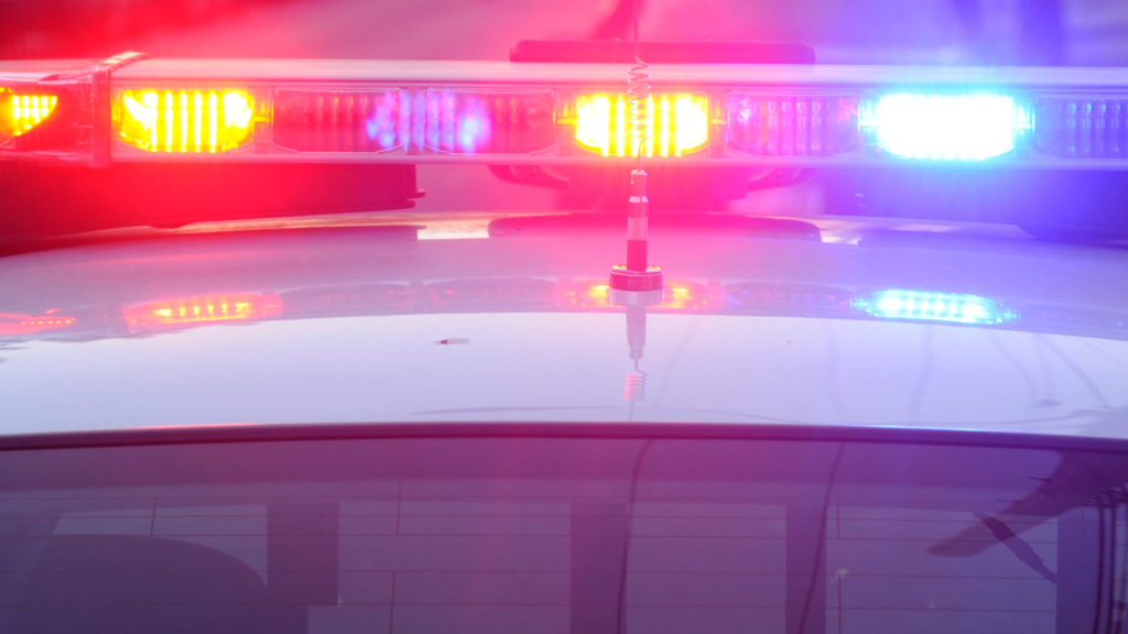 Broward man accused of trying to kidnap 13-year-old from Miramar gas station, police say — CBS Miami, Palm Harbor Business news
