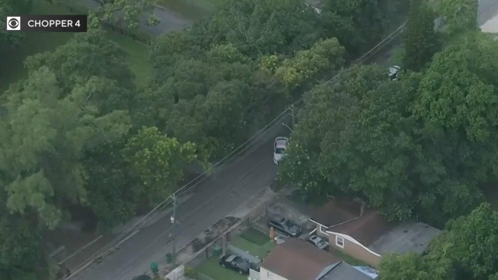Man found dead near park in northwest Miami-Dade, homicide detectives investigating — CBS Miami, Palm Harbor Health news