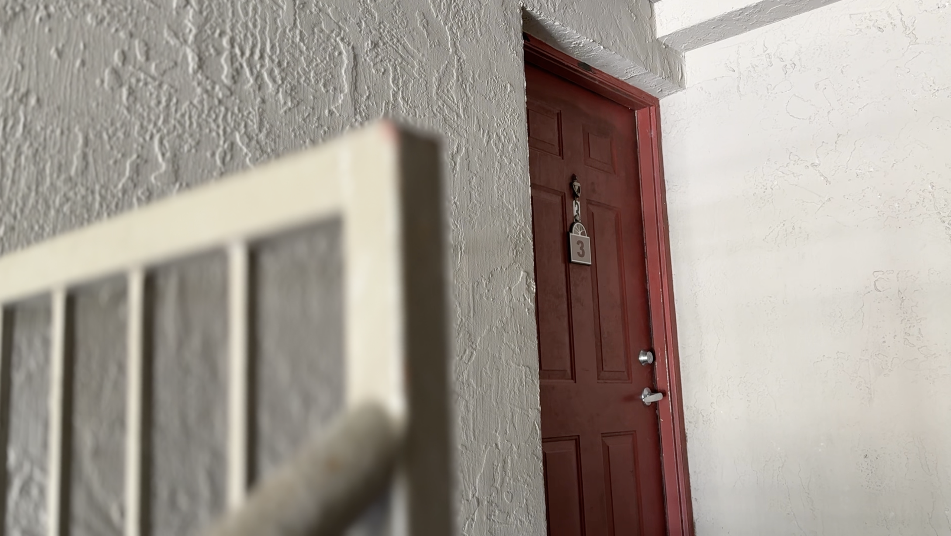 Pasco County mom of 5 takes in 3 children left without food or power whose mother faces neglect charges — WFTS ABC Action News Tampa, Palm Harbor Schools news
