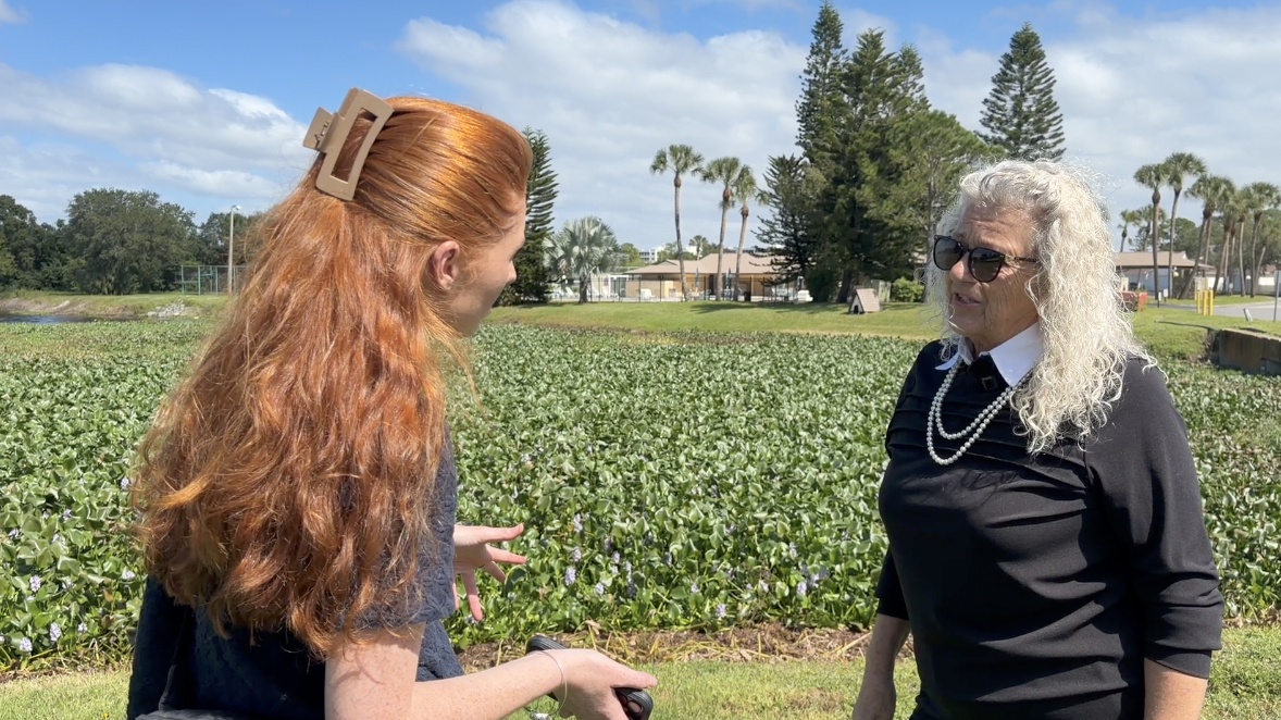 Residents fear future flooding as Largo canal maintenance dispute leaves neighborhood seeking answers — WFTS ABC Action News Tampa, Palm Harbor Real Estate news