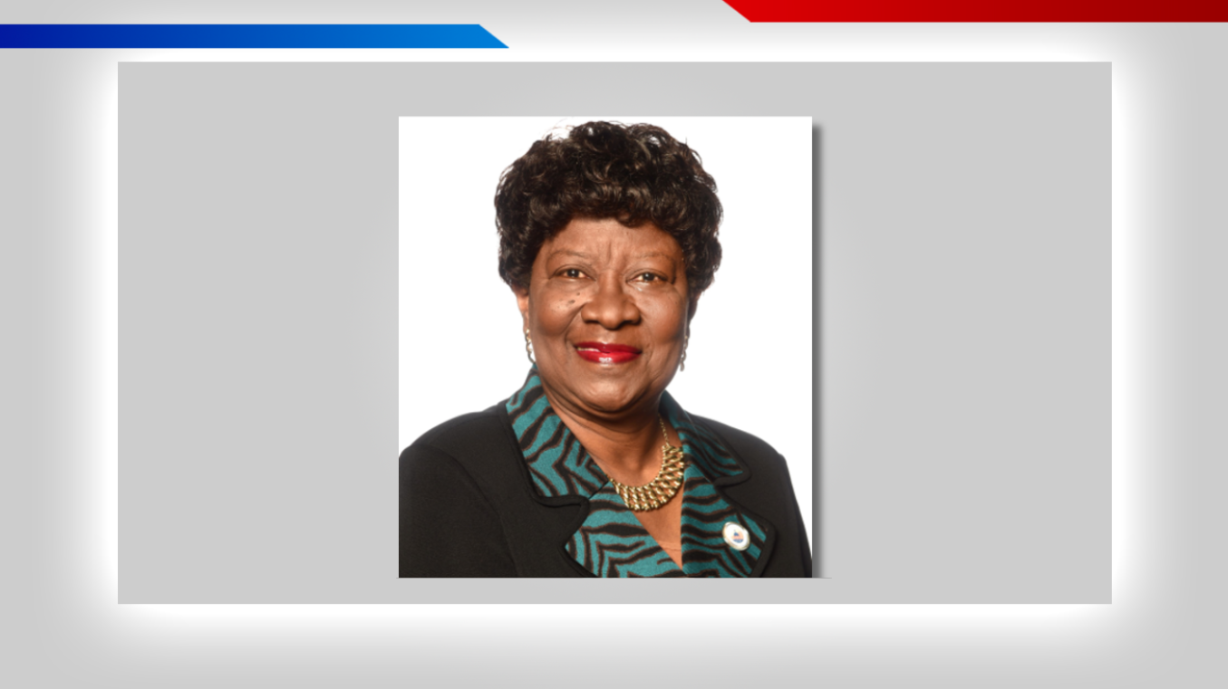 Meet the candidates: Questionnaire for Hillsborough County Commissioner District 3 — WFTS ABC Action News Tampa