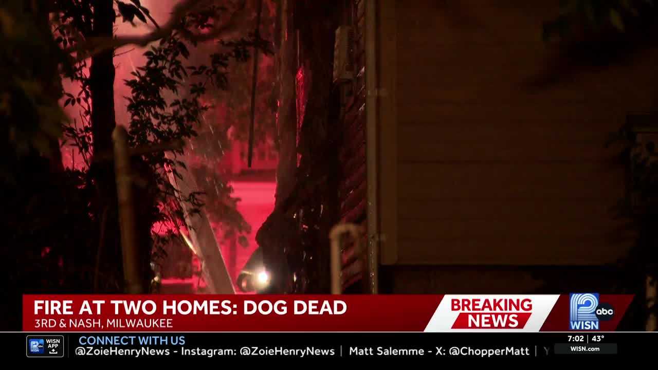 Dog killed during overnight fire that spread from one Milwaukee home to a second — WISN 12 Milwaukee, Palm Harbor Community news