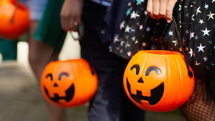 These are the top trending Halloween costumes in the Tampa Bay area for 2026 — WTSP 10 Tampa Bay, Palm Harbor Community news