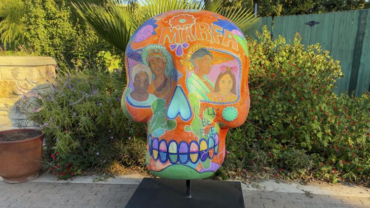 San Antonio Zoo adds 7 giant sugar skulls to Día de los Muertos celebration — KENS 5 (San Antonio), Palm Harbor Sports news