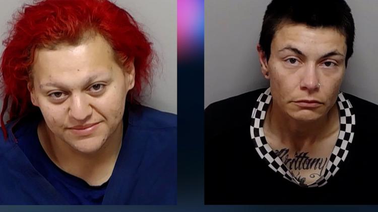 Dogs left to die while owners were passed out and intoxicated in nearby truck, San Antonio police say — KENS 5 (San Antonio), Palm Harbor Community news