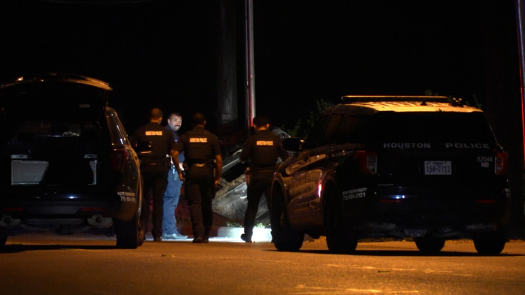 36-year-old DJ killed after being ejected from car in rollover crash, Houston police say — KHOU 11 (Houston), Palm Harbor Community news
