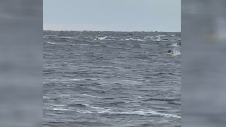 Off-duty JFRD firefighter rescues three from capsized boat at Big Talbot Island — First Coast News Local, Palm Harbor Community news