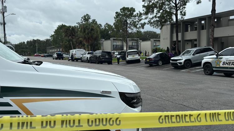 Hillsborough detectives investigating after child reports mother's death — WTSP 10 Tampa Bay, Palm Harbor Community news