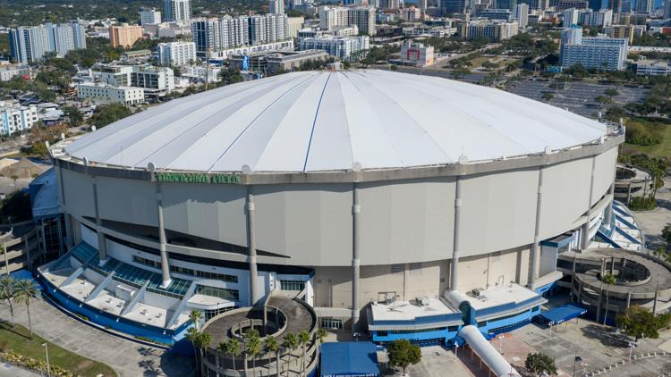 Rays to host ALCS watch parties at Tropicana Field — WTSP Sports Tampa Bay, Palm Harbor Sports news