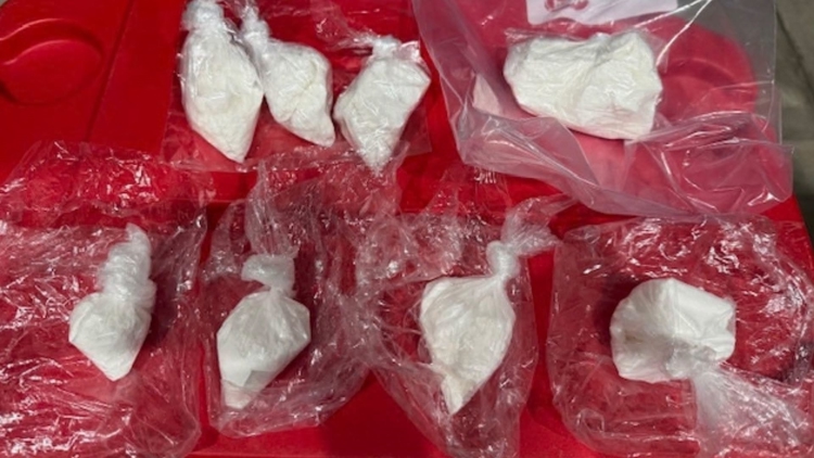 Deputies seize 11 ounces of cocaine, arrest Tampa man following months-long investigation, HCSO said — WTSP 10 Tampa Bay, Palm Harbor Community news