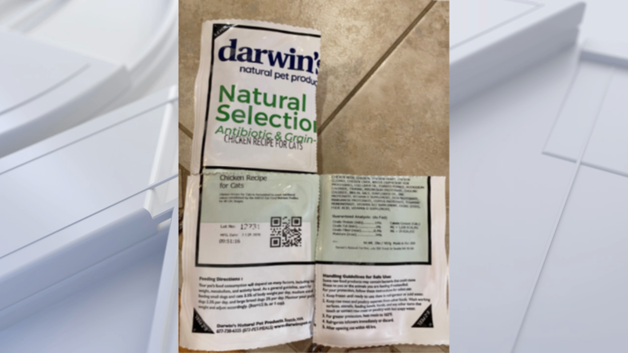 FDA warns pet owners after salmonella found in frozen cat food — Palm Harbor Community news