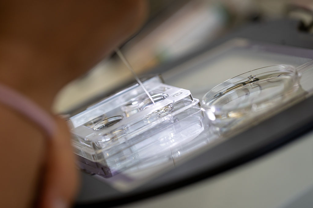 Childhood cancer risk may be higher after some fertility treatments, study finds — FOX 13 Tampa Bay News, Palm Harbor Community news