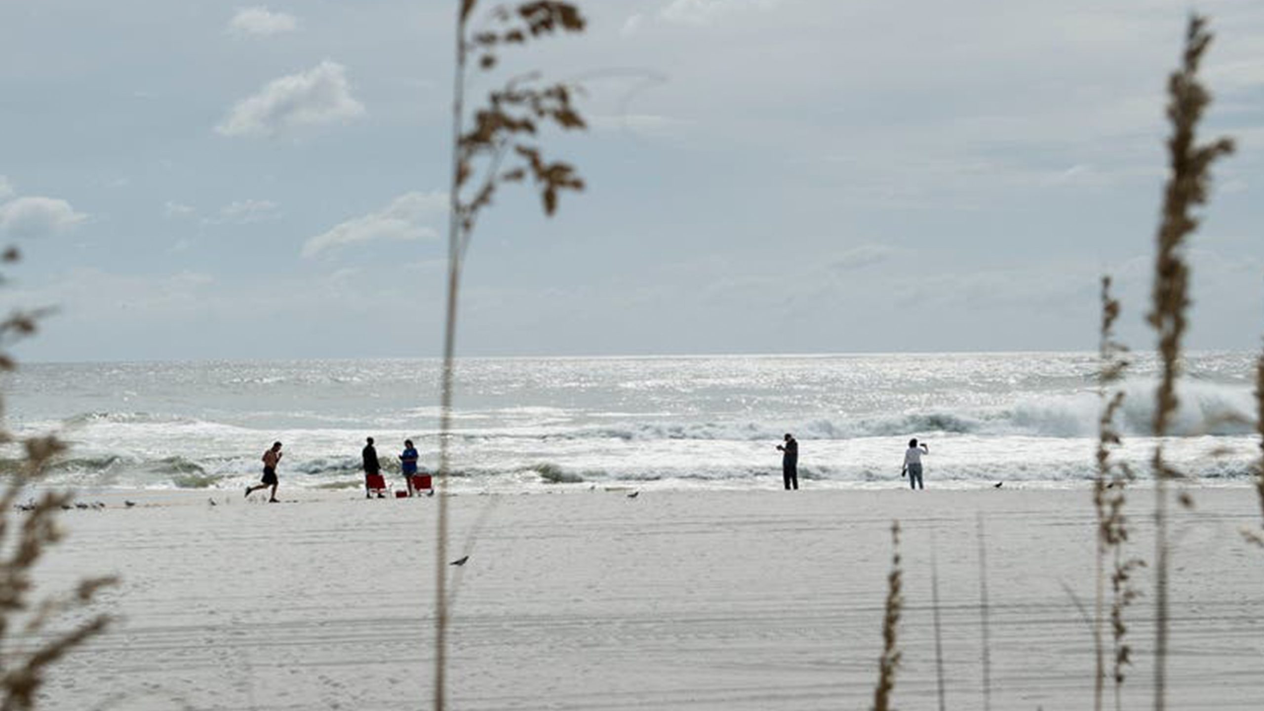 Father of 2 drowns after being caught in current trying to rescue seagull caught in fishing line — FOX 13 Tampa Bay News