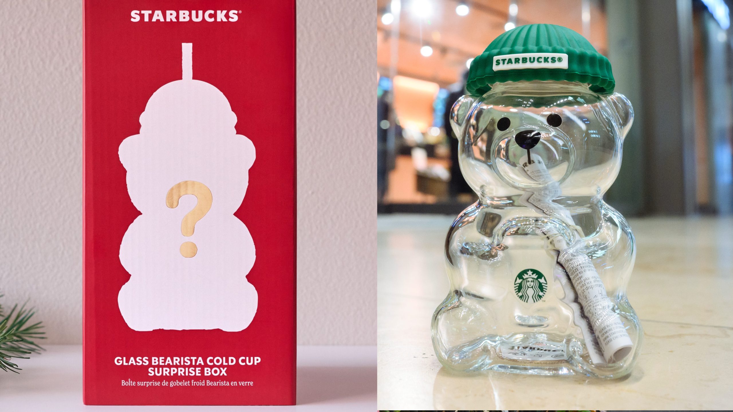 Starbucks bringing back viral bearista cold cups – with a twist — FOX 13 Tampa Bay News, Palm Harbor Sports news