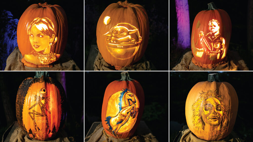 Where to celebrate Halloween and Día de los Muertos in the Denver metro — Denverite, Palm Harbor Dining news